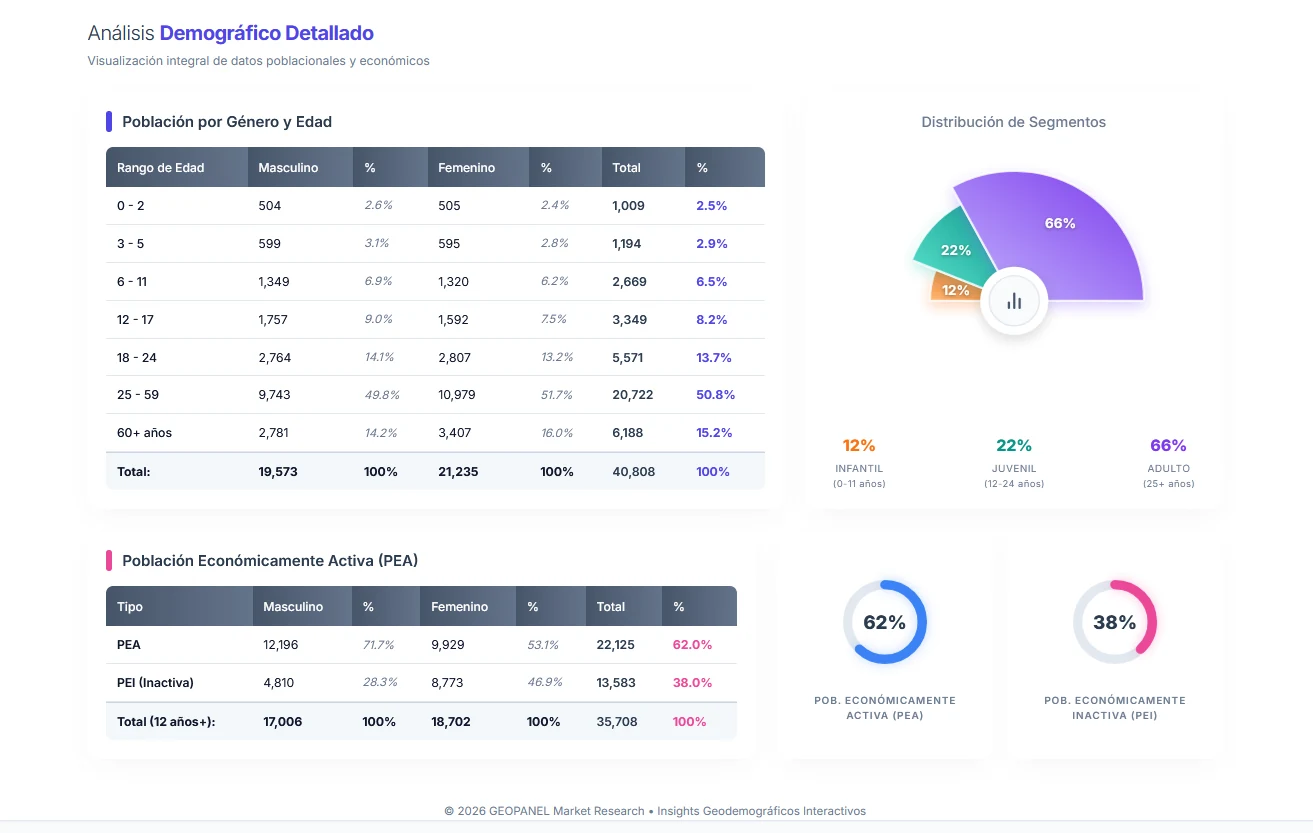 Panel de análisis demográfico y económico conectado a GeoPanel API